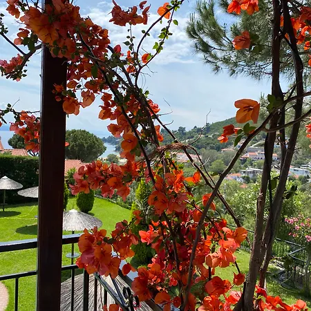 Xanthippi * Agia Paraskevi (Skiathos)