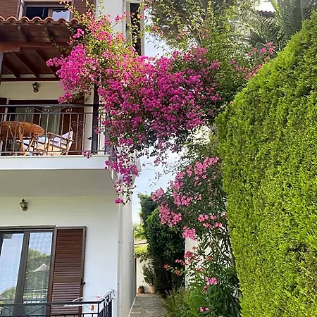Xanthippi * Agia Paraskevi (Skiathos)