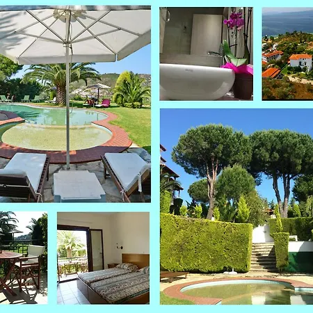 Xanthippi Apartment Agia Paraskevi (Skiathos)