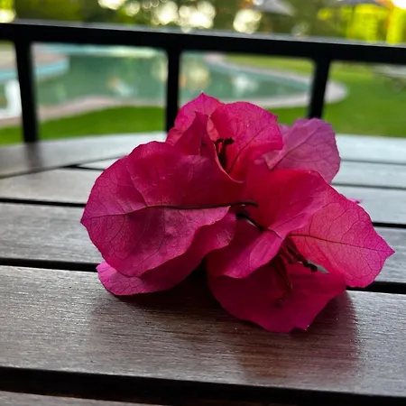 Appartamento Xanthippi *