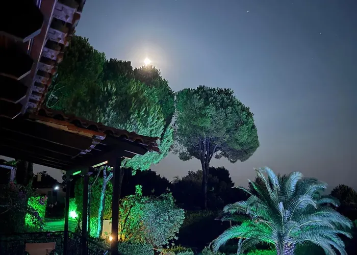 Xanthippi Daire Aya Paraskevi