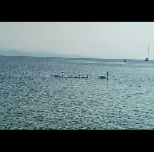 Xanthippi Aya Paraskevi